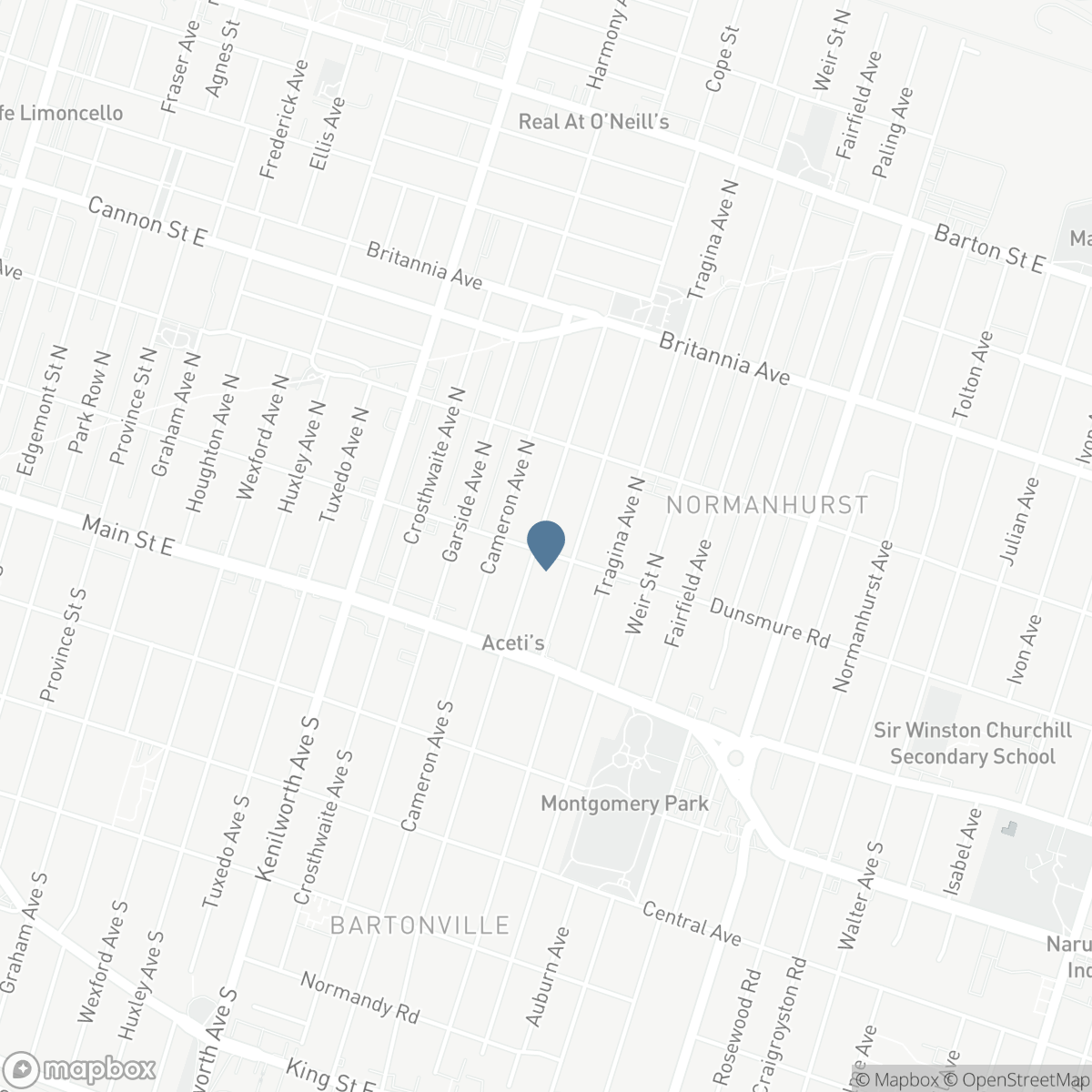 56 BARONS AVENUE N, Hamilton, Ontario L8H 5A4